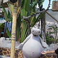 DSC08876.JPG