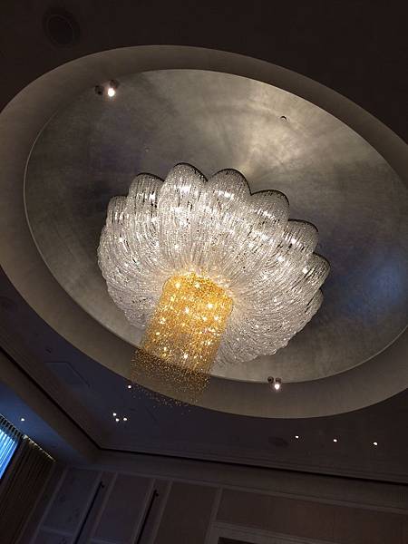 IMG_8203.JPG IMG_8203.JPG