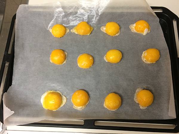 IMG_1537.JPG IMG_1537.JPG