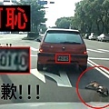 肇事車輛.jpg