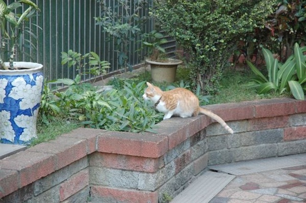 DSC_8859.JPG DSC_8859.JPG