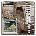 肇事小貨車.jpg