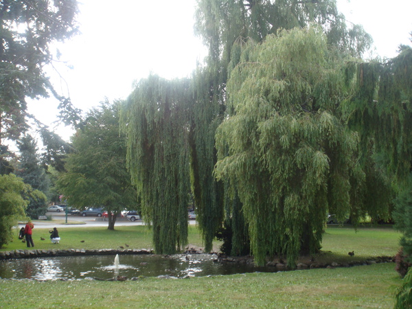 會逛到腳斷的公園