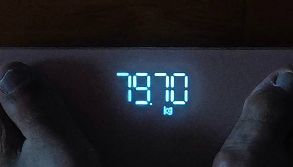 114年4~6岳生活集錦