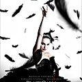 BlackSwan-1.jpg