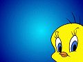 tweety116