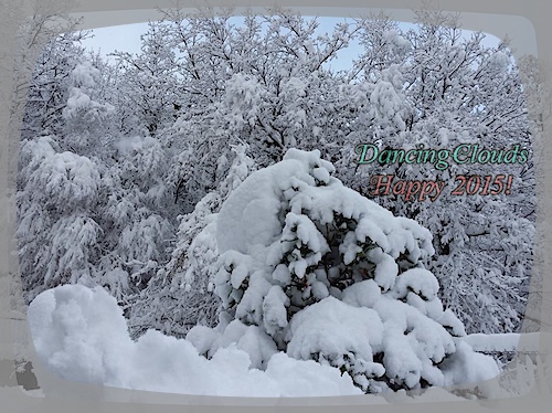 大針小針，不如雪針