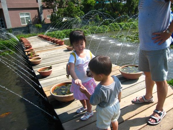 儀玟小姊姊分給小傑餵魚