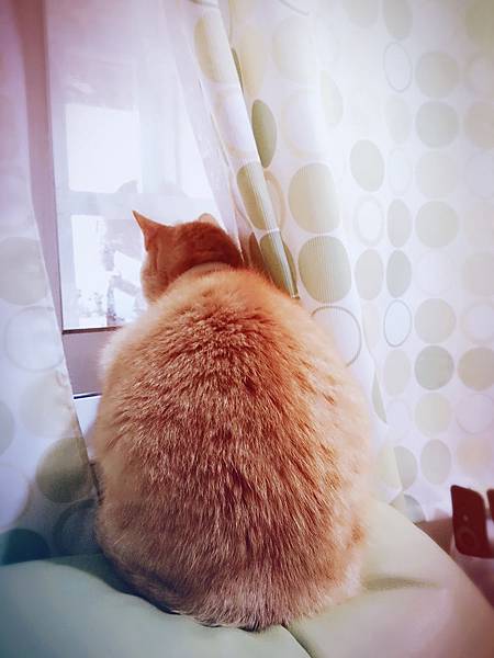 SelfieCity_20160216081710_save