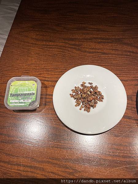 IMG_3268.JPG IMG_3268.JPG