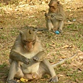 Angkor-051.JPG