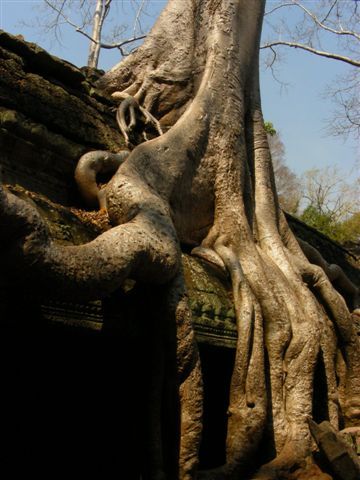 Angkor-118.JPG