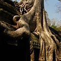 Angkor-118.JPG