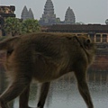 Angkor-199.JPG