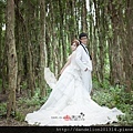 新竹婚紗,風格婚紗,自助婚紗,婚紗攝影,婚禮紀錄,新竹蒲公英婚紗影像工作室