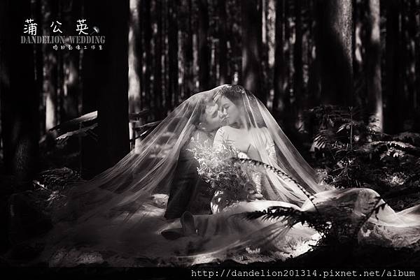 擁抱幸福中的擁有