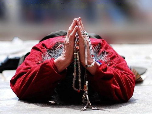 y1323091225_85ea9922_28 (1)