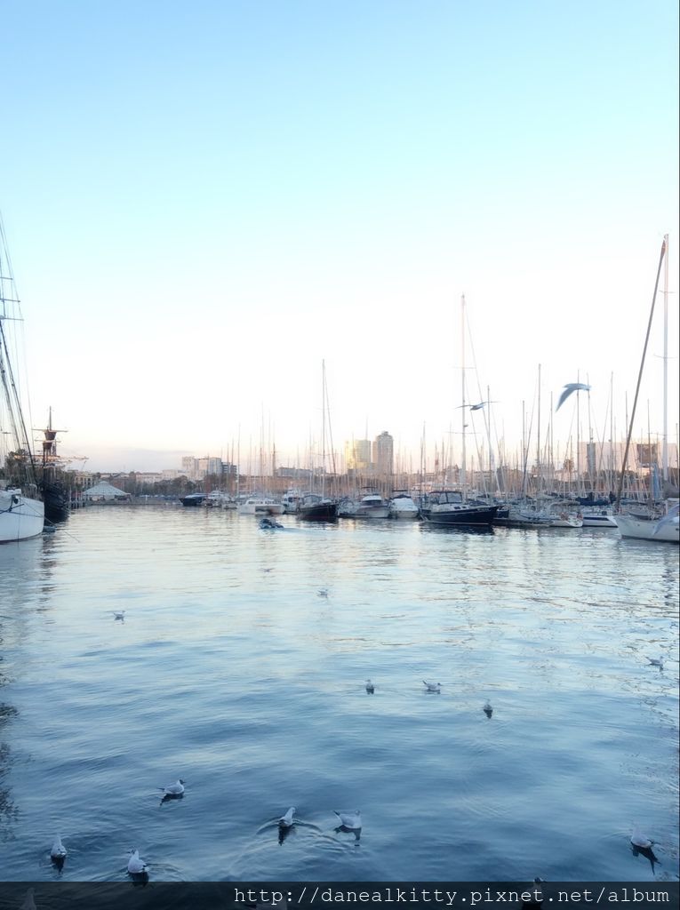 IMG_5040.JPG IMG_5040.JPG