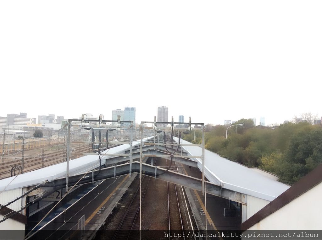 IMG_3084.JPG IMG_3084.JPG