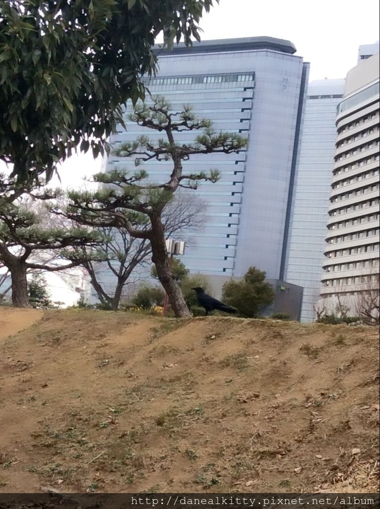 IMG_3087.JPG IMG_3087.JPG