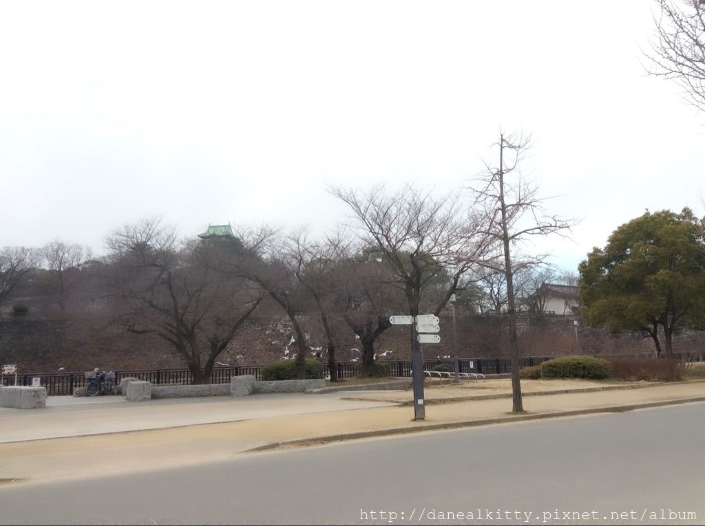 IMG_3098.JPG IMG_3098.JPG