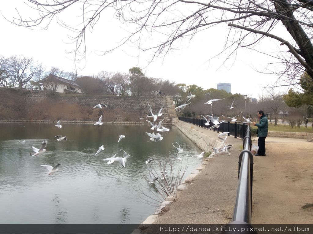 IMG_3101.JPG IMG_3101.JPG