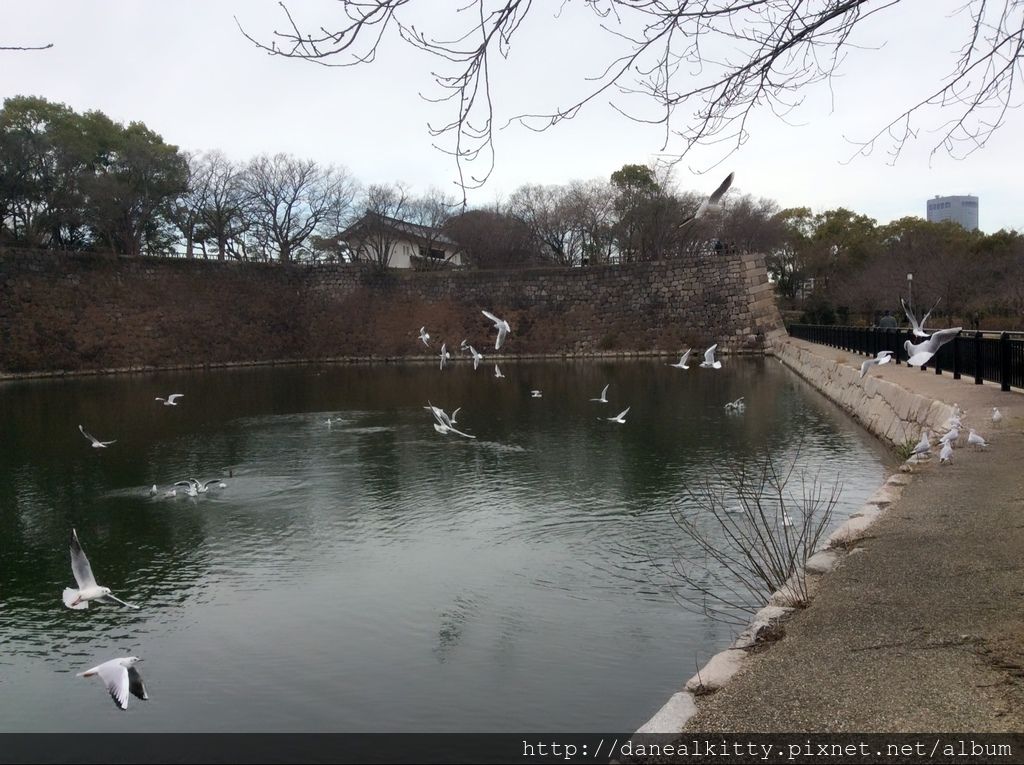 IMG_3102.JPG IMG_3102.JPG