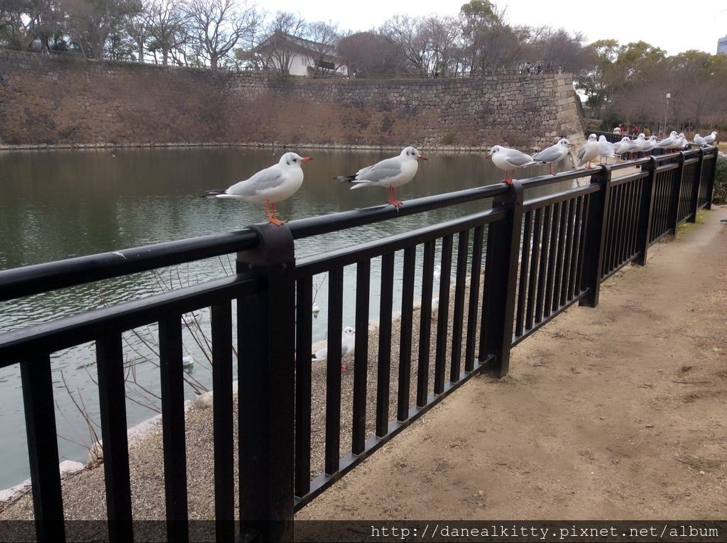 IMG_3106.JPG IMG_3106.JPG