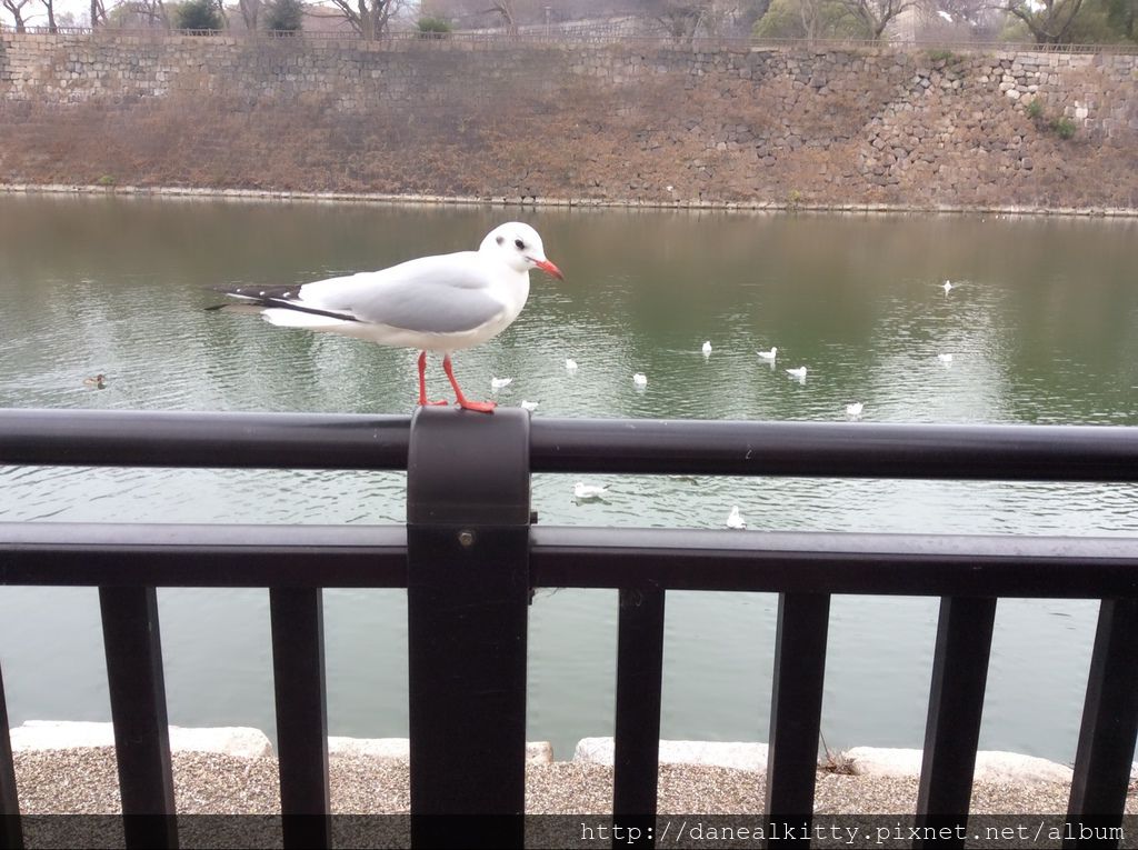 IMG_3107.JPG IMG_3107.JPG