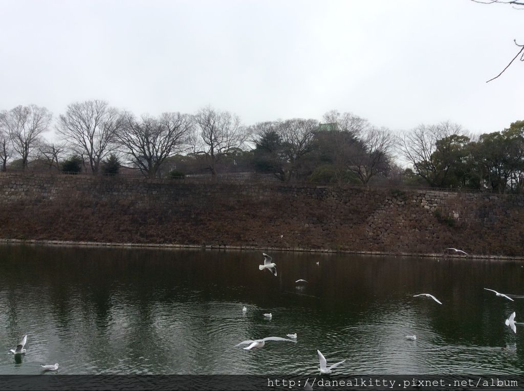 IMG_3108.JPG IMG_3108.JPG