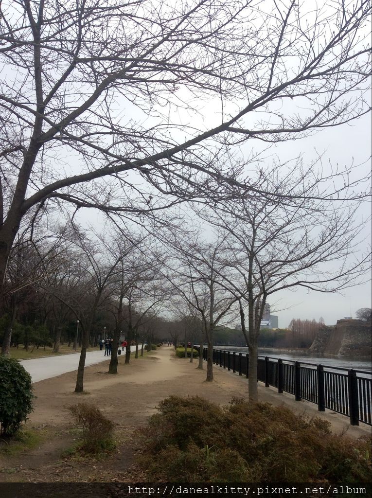 IMG_3109.JPG IMG_3109.JPG