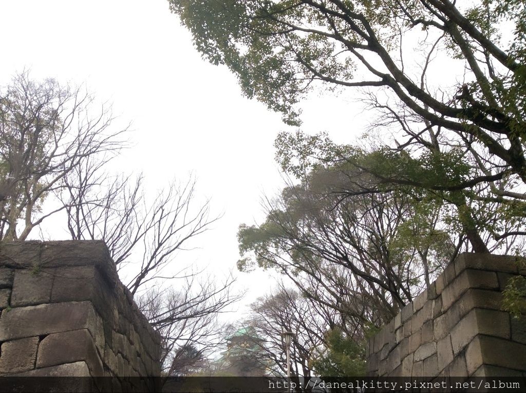 IMG_3113.JPG IMG_3113.JPG