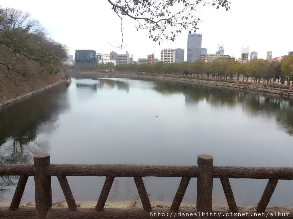 IMG_3115.JPG IMG_3115.JPG