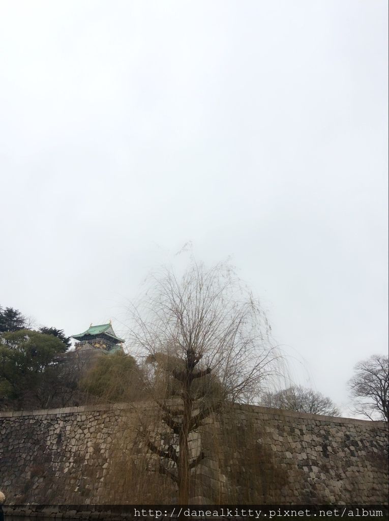 IMG_3117.JPG IMG_3117.JPG