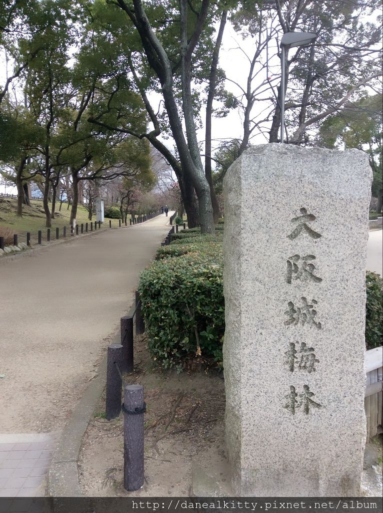 IMG_3118.JPG IMG_3118.JPG