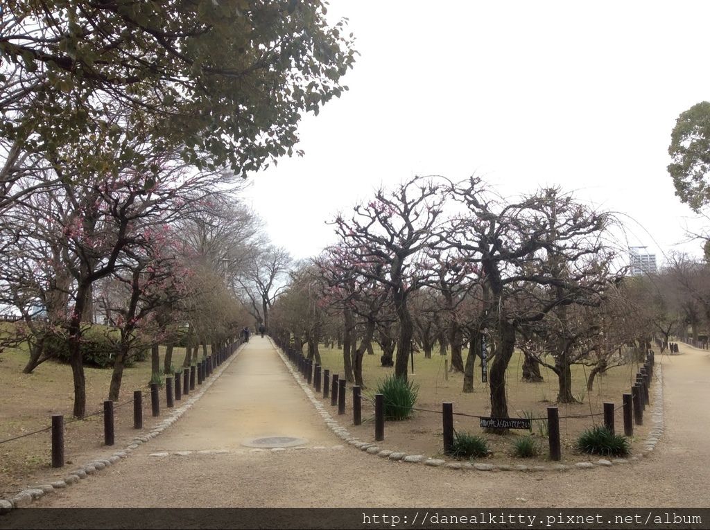 IMG_3119.JPG IMG_3119.JPG