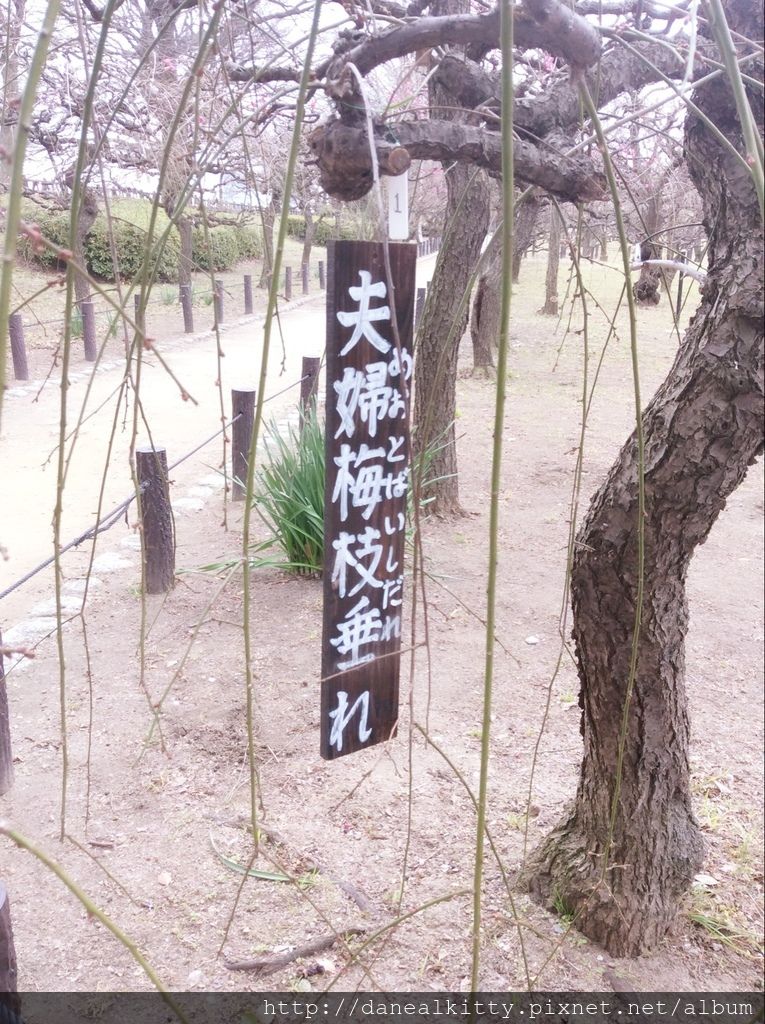 IMG_3121.JPG IMG_3121.JPG