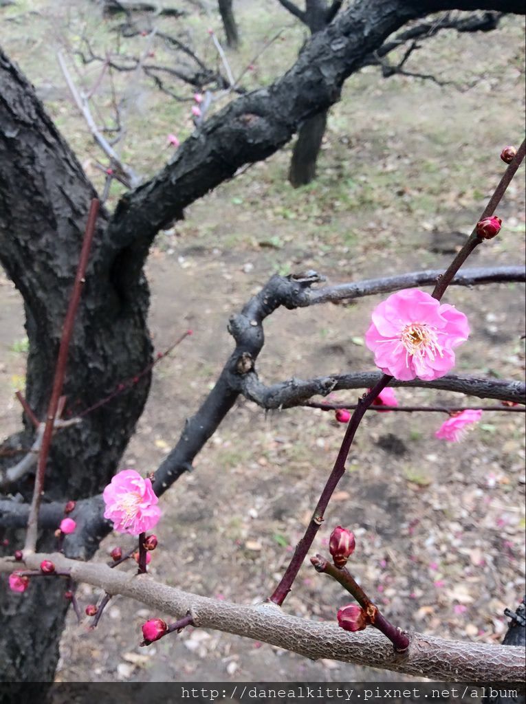 IMG_3123.JPG IMG_3123.JPG