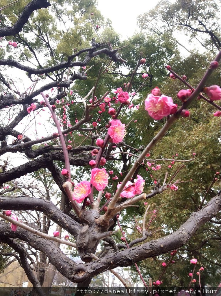 IMG_3124.JPG IMG_3124.JPG