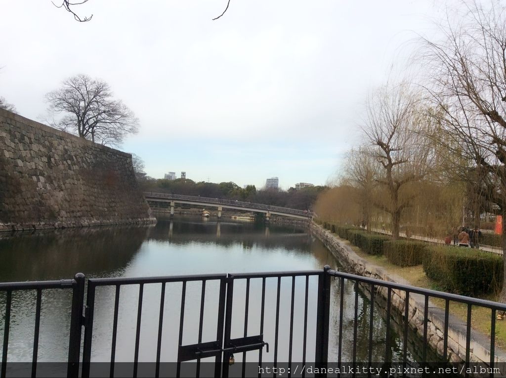 IMG_3126.JPG IMG_3126.JPG