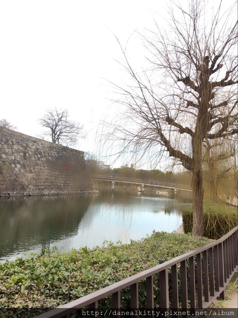 IMG_3130.JPG IMG_3130.JPG