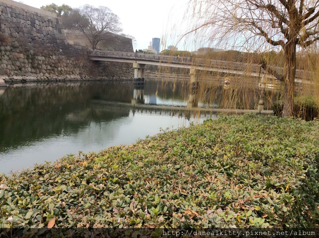 IMG_3131.JPG IMG_3131.JPG