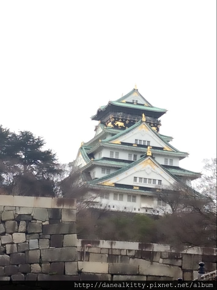 IMG_3132.JPG IMG_3132.JPG