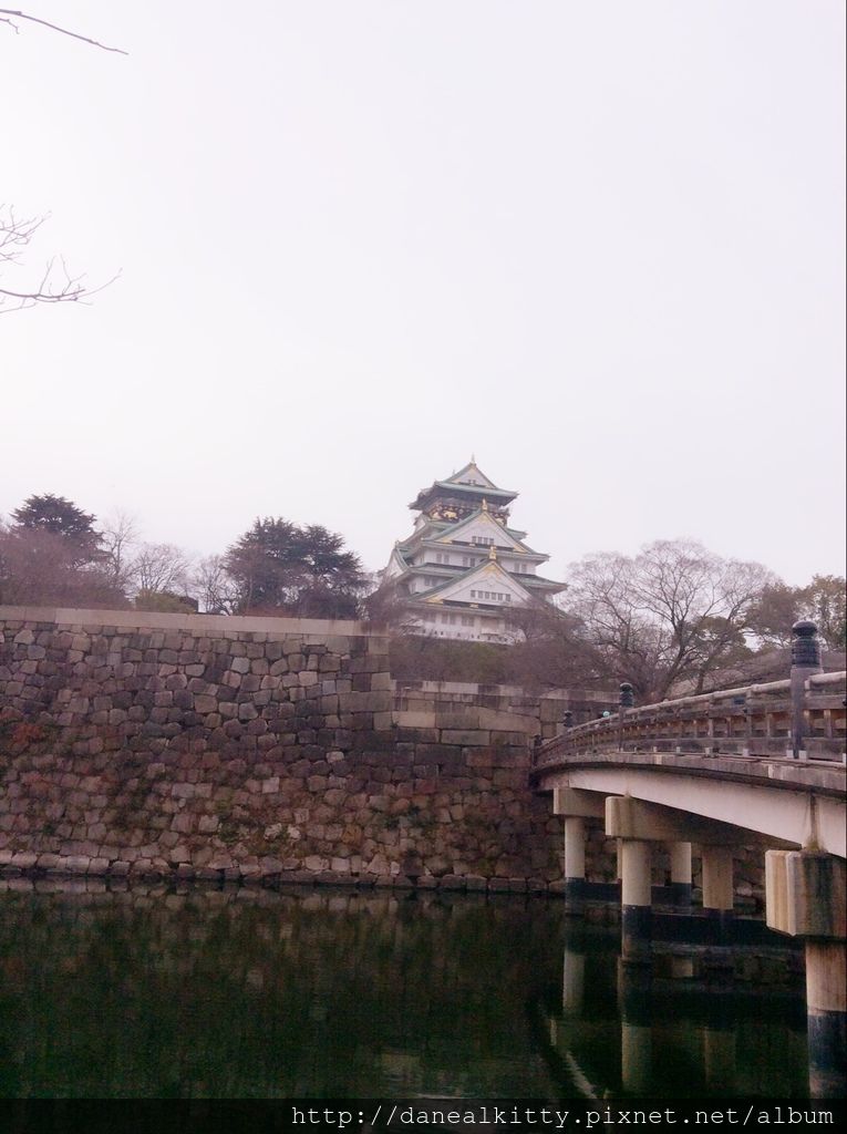 IMG_3133.JPG IMG_3133.JPG