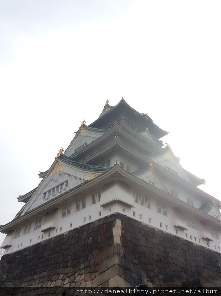 IMG_3146.JPG IMG_3146.JPG