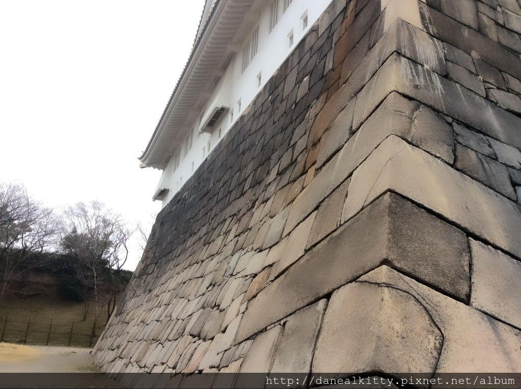 IMG_3150.JPG IMG_3150.JPG