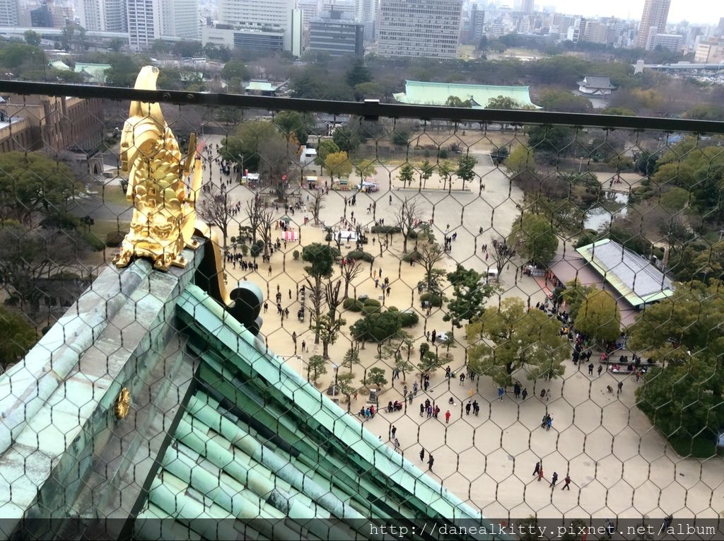 IMG_3171.JPG IMG_3171.JPG