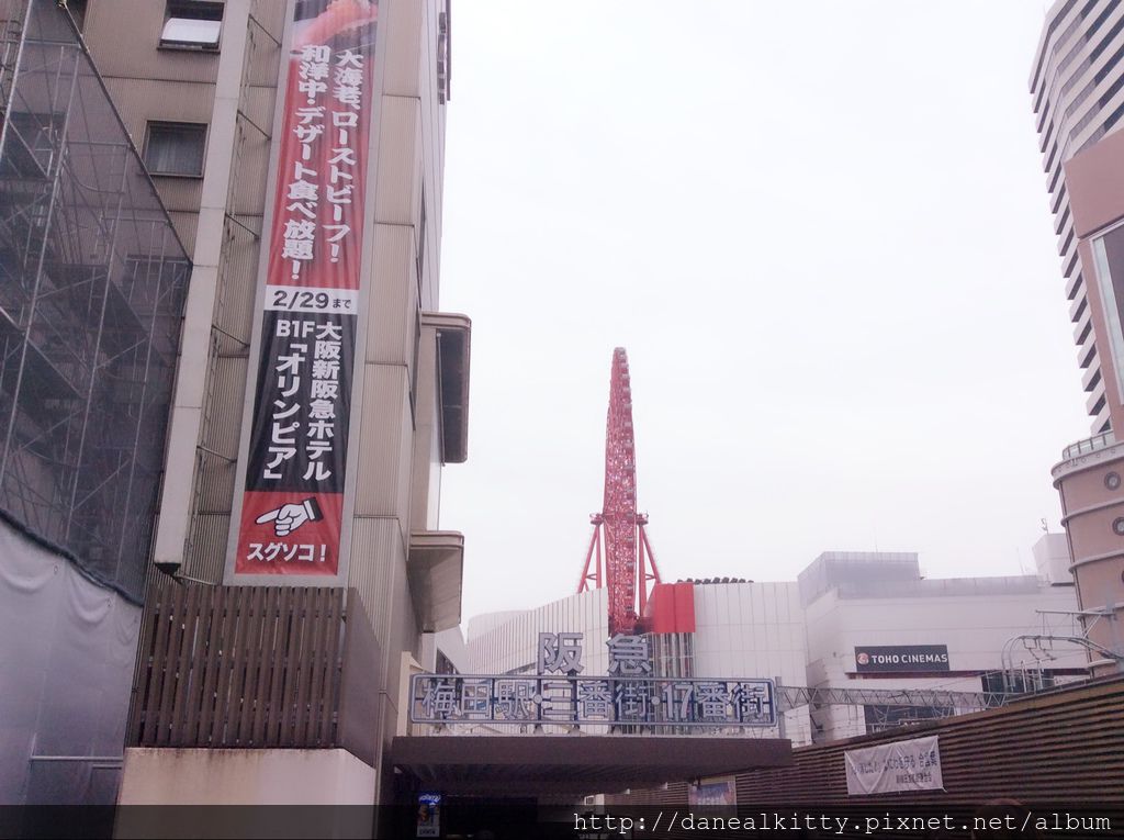 IMG_3207.JPG IMG_3207.JPG