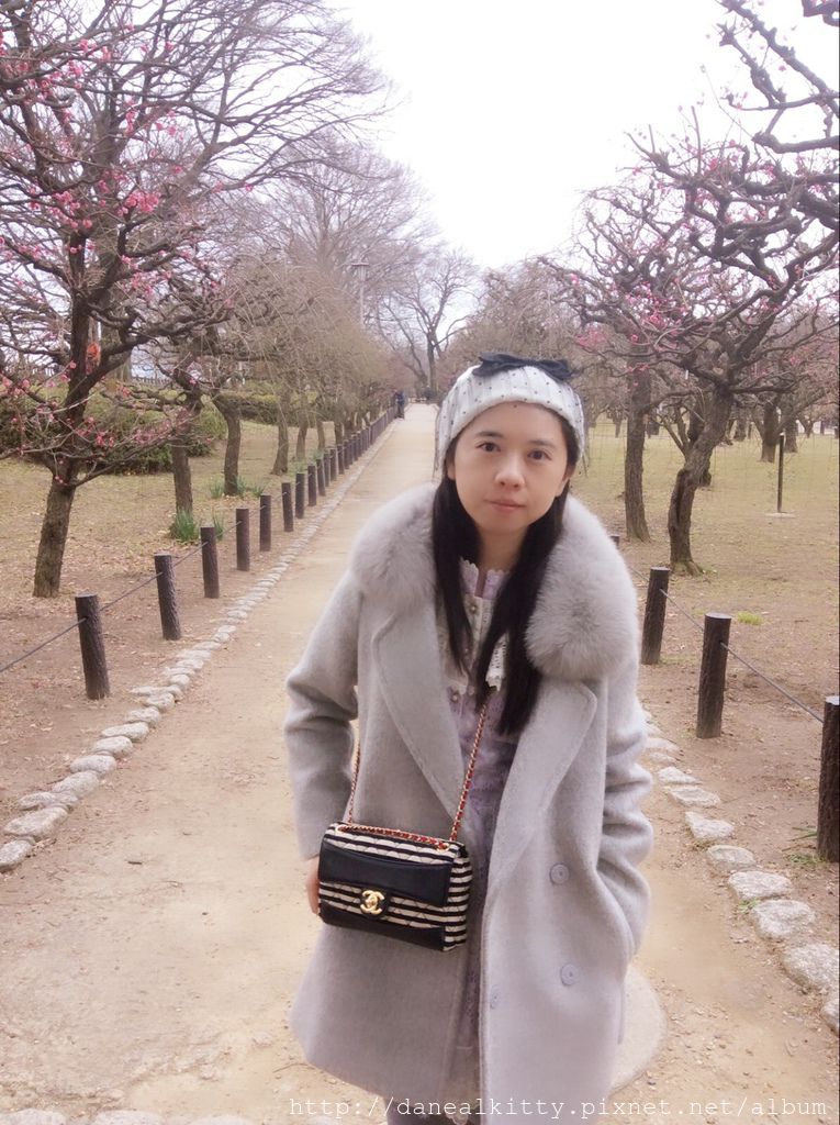 IMG_3215.JPG IMG_3215.JPG