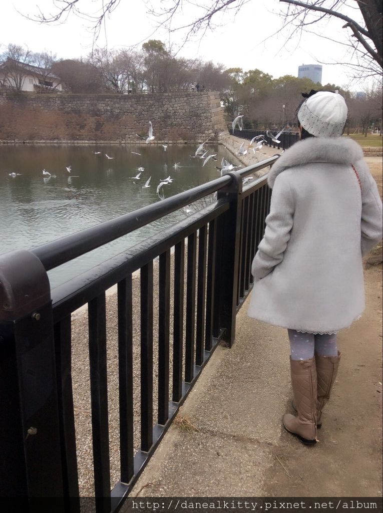 IMG_3219.JPG IMG_3219.JPG